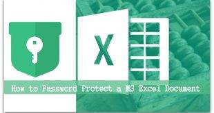 how to put password on excel file | Password Protect | Protect MS Excel